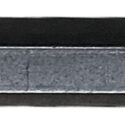 Bison Bit